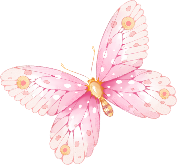 Watercolor pink butterfly illustration